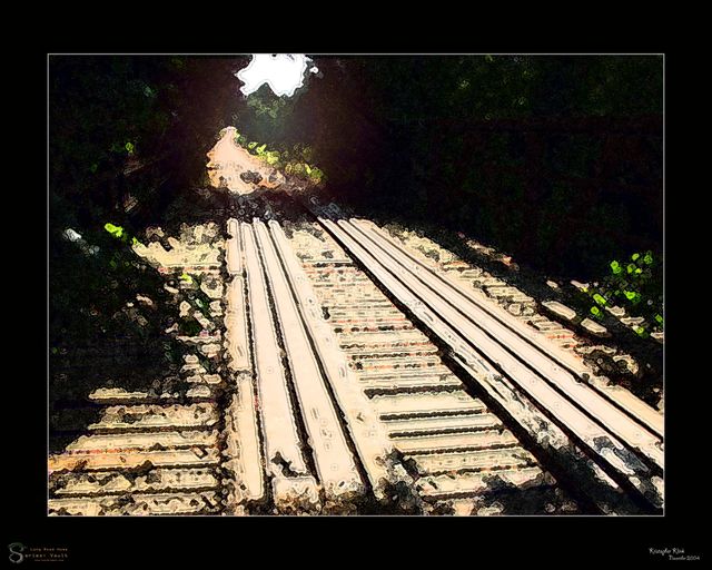 Long Road Home — Digital